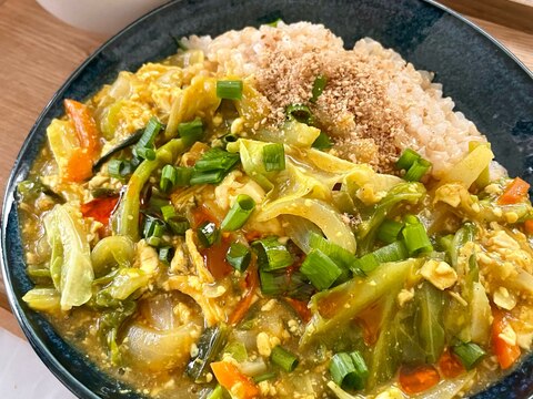 栄養満点ꕤ野菜たっぷりꕤ春キャベツの麻婆豆腐カレー